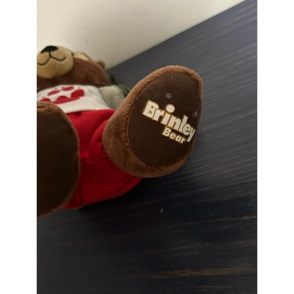 Build A Bear Workshop Brinley Bear 12" Plush with Outfit Great Wolf Lodge Toy - Picture 4 of 5